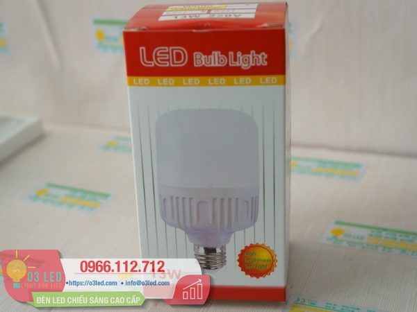 Den LED Bulb 13W Tru Tron(2)