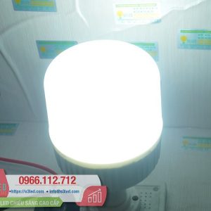 Den LED Bulb 13W Tru Tron(9)